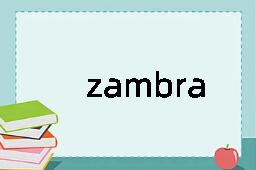 zambra是什么意思