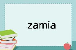 zamia是什么意思