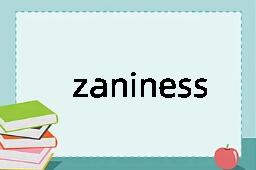 zaniness是什么意思