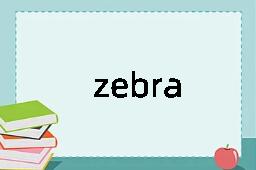 zebra是什么意思