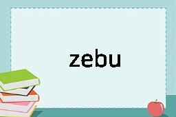 zebu是什么意思