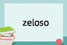 zeloso是什么意思
