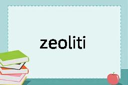 zeolitize是什么意思