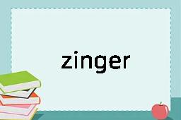 zinger是什么意思