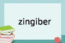 zingiber是什么意思