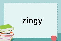 zingy是什么意思