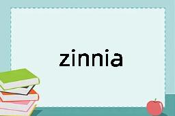 zinnia是什么意思