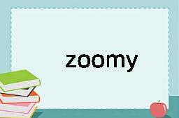 zoomy是什么意思