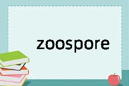 zoospore是什么意思