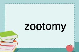 zootomy是什么意思