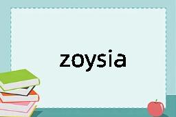zoysia是什么意思