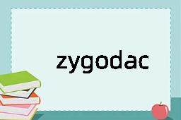 zygodactylous是什么意思