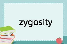 zygosity是什么意思