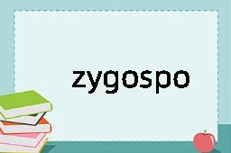 zygosporic是什么意思